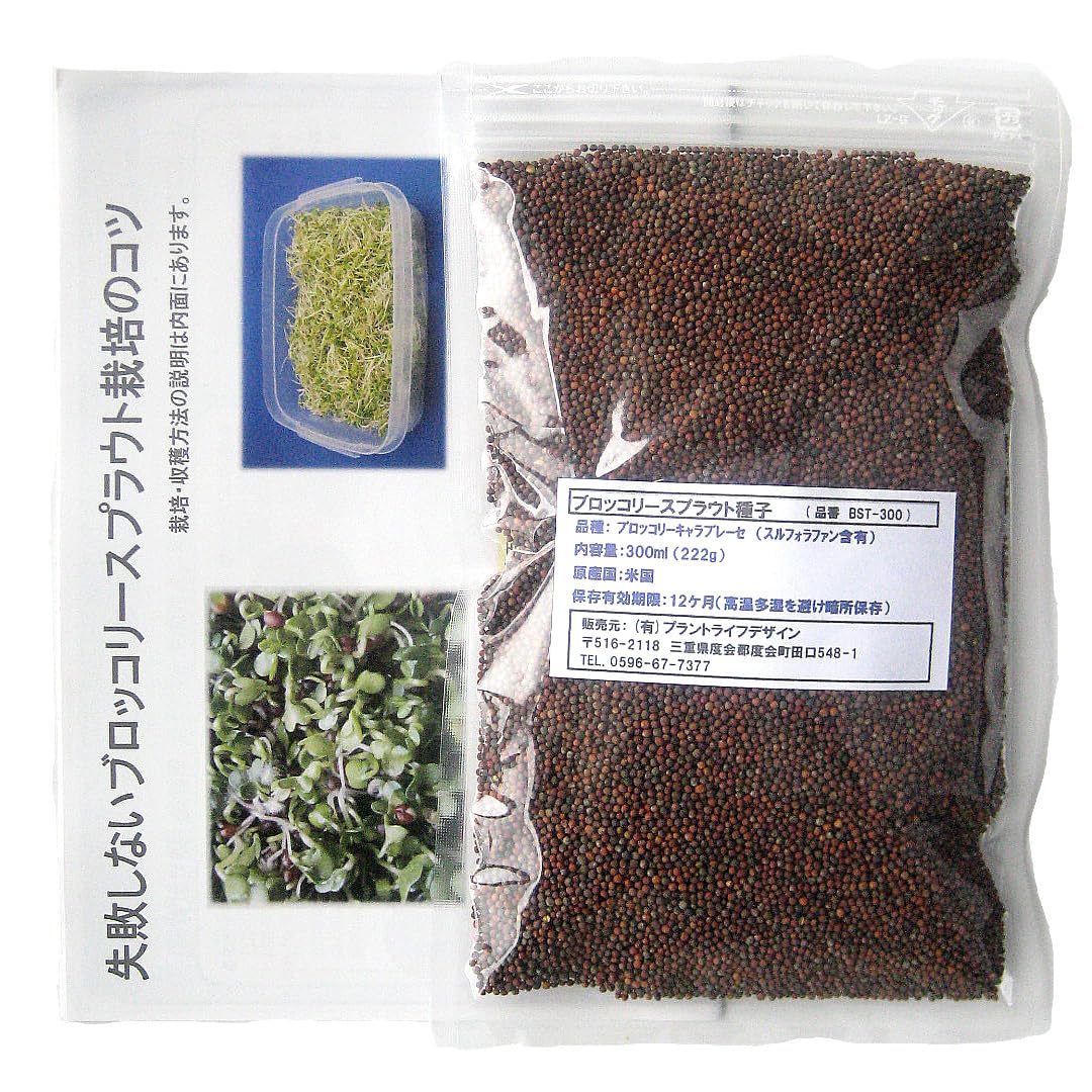 種子10袋セット　　　スルフォラファン　見分け方 簡単栽培キット付き 】ブロッコリースプラウト 種子 200ml 健康